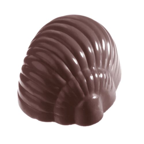 Chocoladevorm slakkenhuis