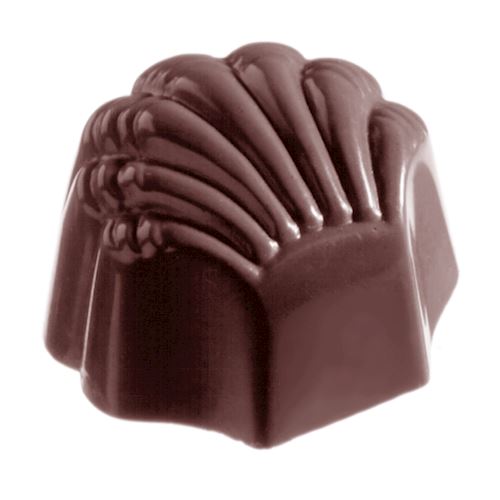 Chocoladevorm schelp hoog