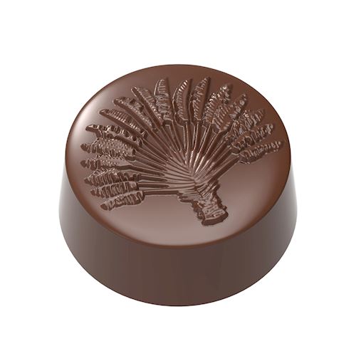 Chocoladevorm Traveller's tree