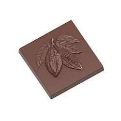 Chocoladevorm karak cacaoboon