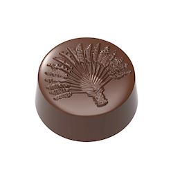 Chocoladevorm praline Traveller's tree