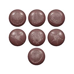 Chocoladevorm zeebollen fossiel 7 fig.