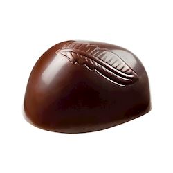 Chocoladevorm  - Roger Fok