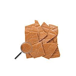 Structuurvel Leaves